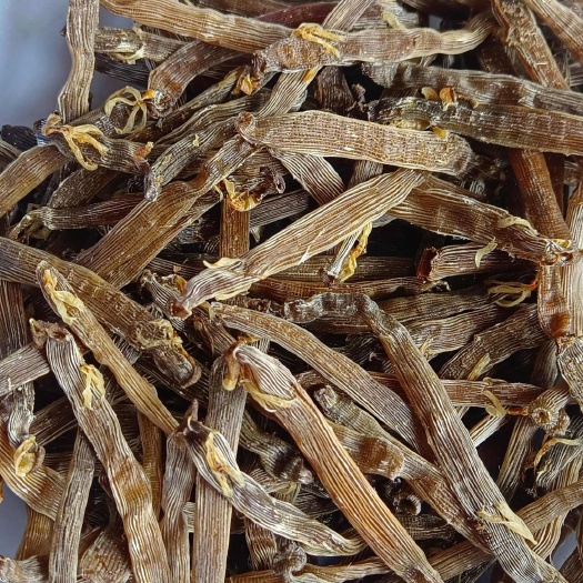 北海特产沙虫干