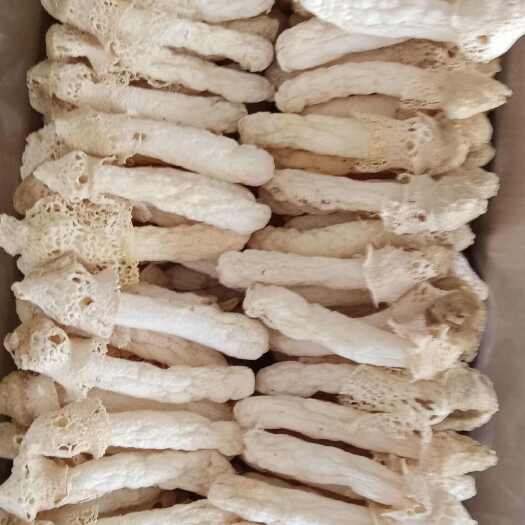 安龙县贵州红托竹荪，基地直发