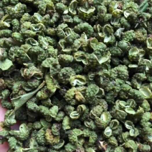彝良县花椒