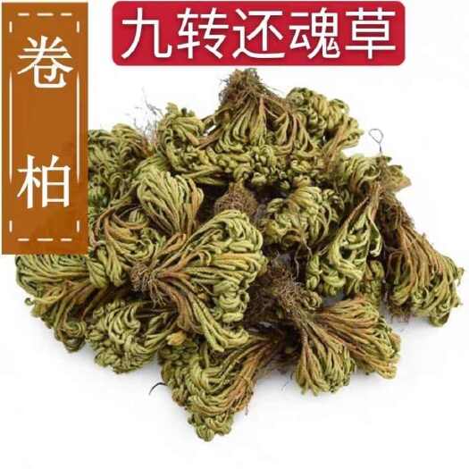 安国市新货，卷柏 正品！货！干净无杂，批发零售，，包邮