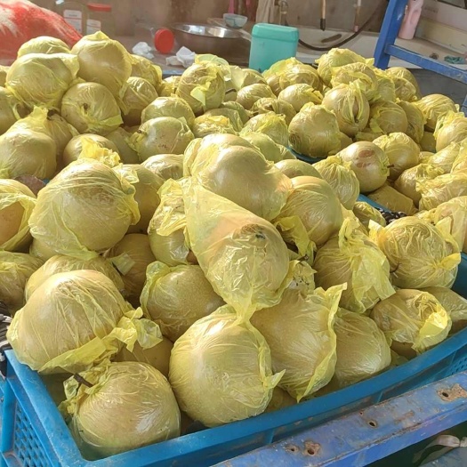 缪路黄花梨