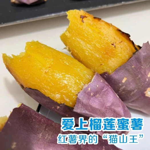 【包邮】云南产区直发全国包邮榴莲蜜薯(门店专用大小烤薯)