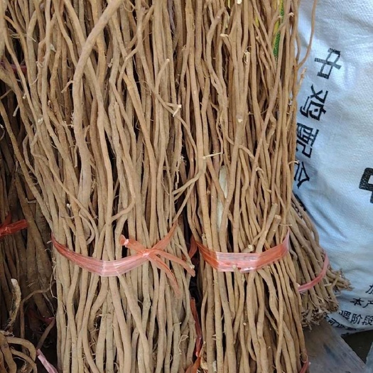 玉林千斤拨