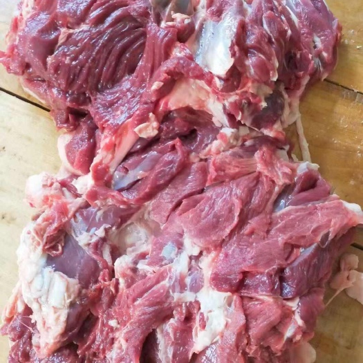 郑州羔羊后腿包肉羔羊前腿包肉