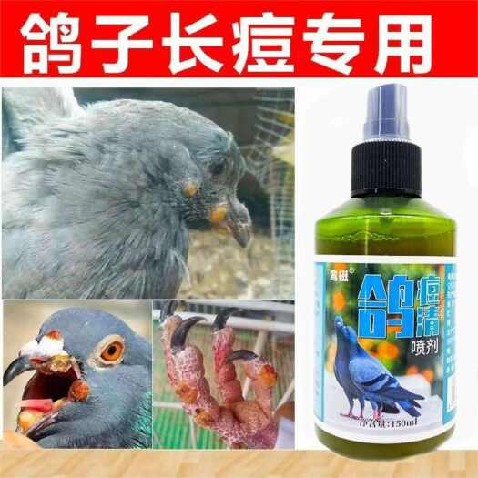 栾川县鸽子鸽瘤嘴角眼皮爪子翅膀长痘鸽痘灵鸽痘专用
