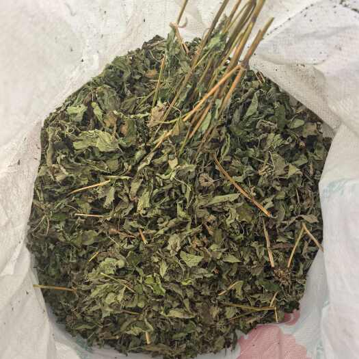 成都干货藿香