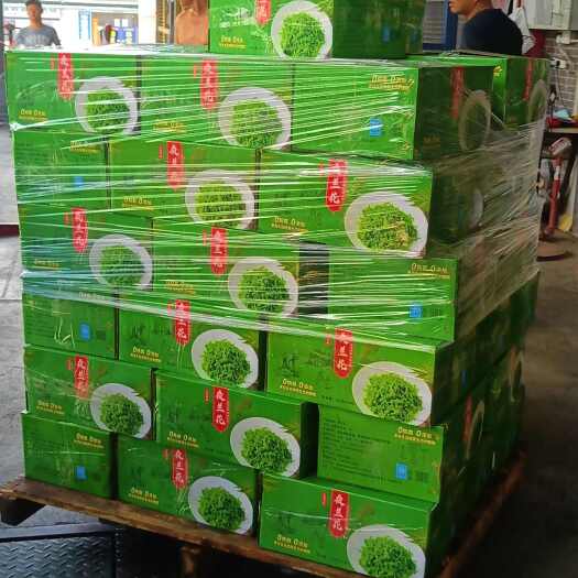 佛山新鲜夜来香蔬菜夜香花食用月见草煎蛋煲汤农庄西餐酒店特色菜食材