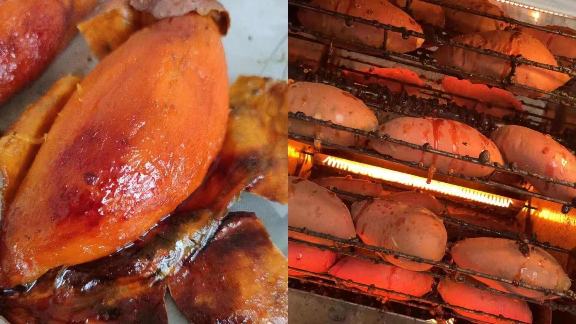 烟薯25号 果实饱满，个个流糖