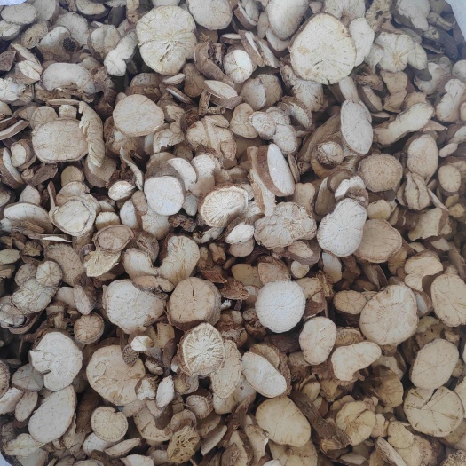 防己片子