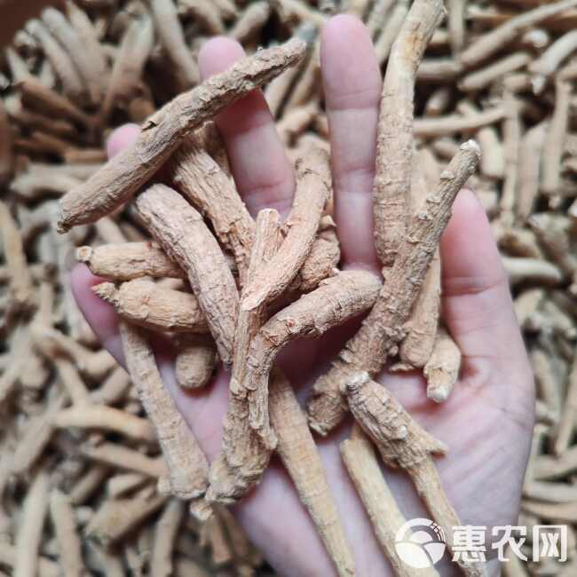 西洋参短条500克包邮花旗参片段腿煮汤送礼干货
西洋参