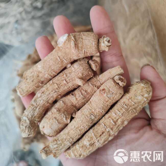 西洋参短条500克包邮花旗参片段腿煮汤送礼干货
西洋参