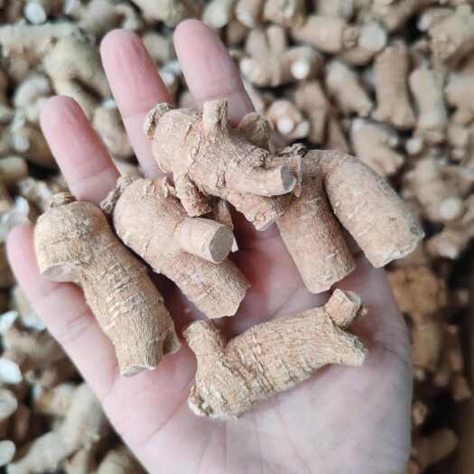 安国市.批发西洋参粒头500克包邮花旗参干货炖汤西洋参粉含片