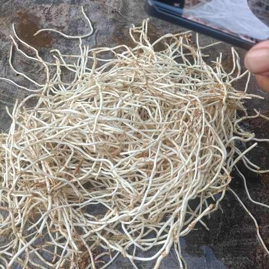 晴隆县贵州高山折耳根基地直批
