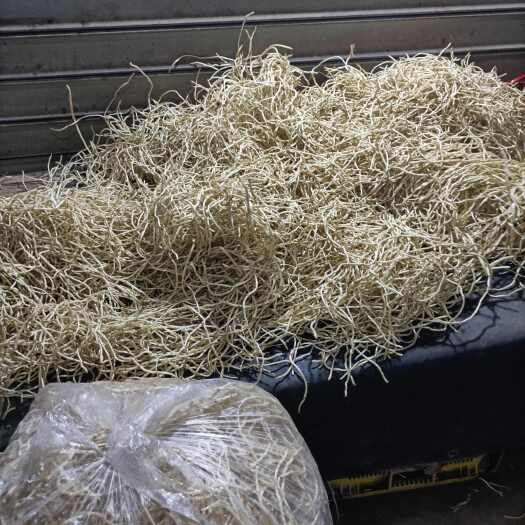 晴隆县贵州高山折耳根新根