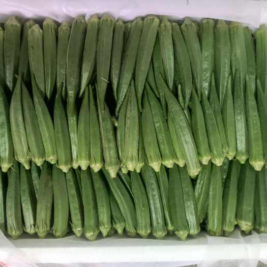 新平县产地发货精品秋葵