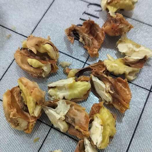 合阳县青皮核桃杂果