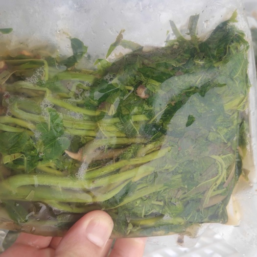 临朐县源头