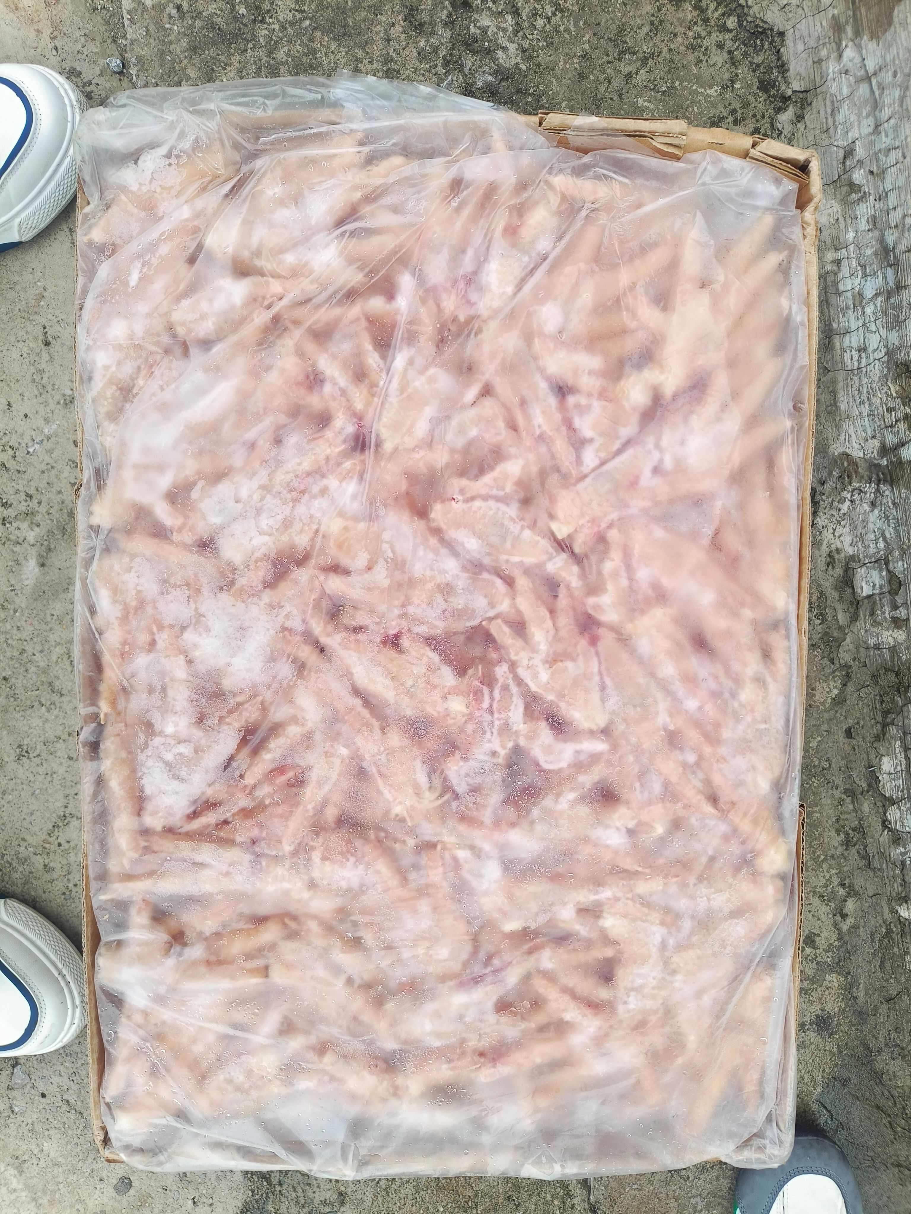 泰森凤爪50+