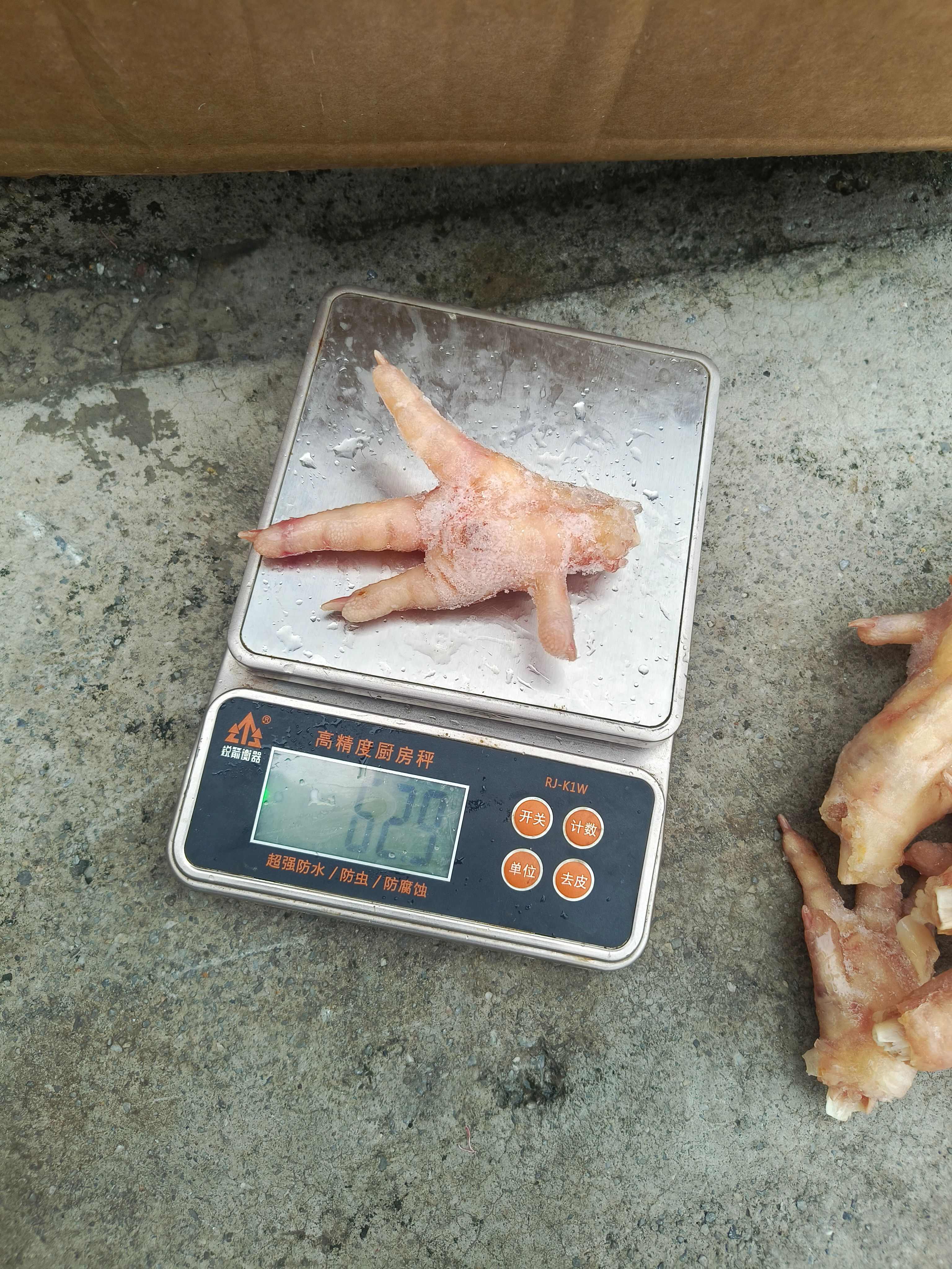 泰森凤爪50+