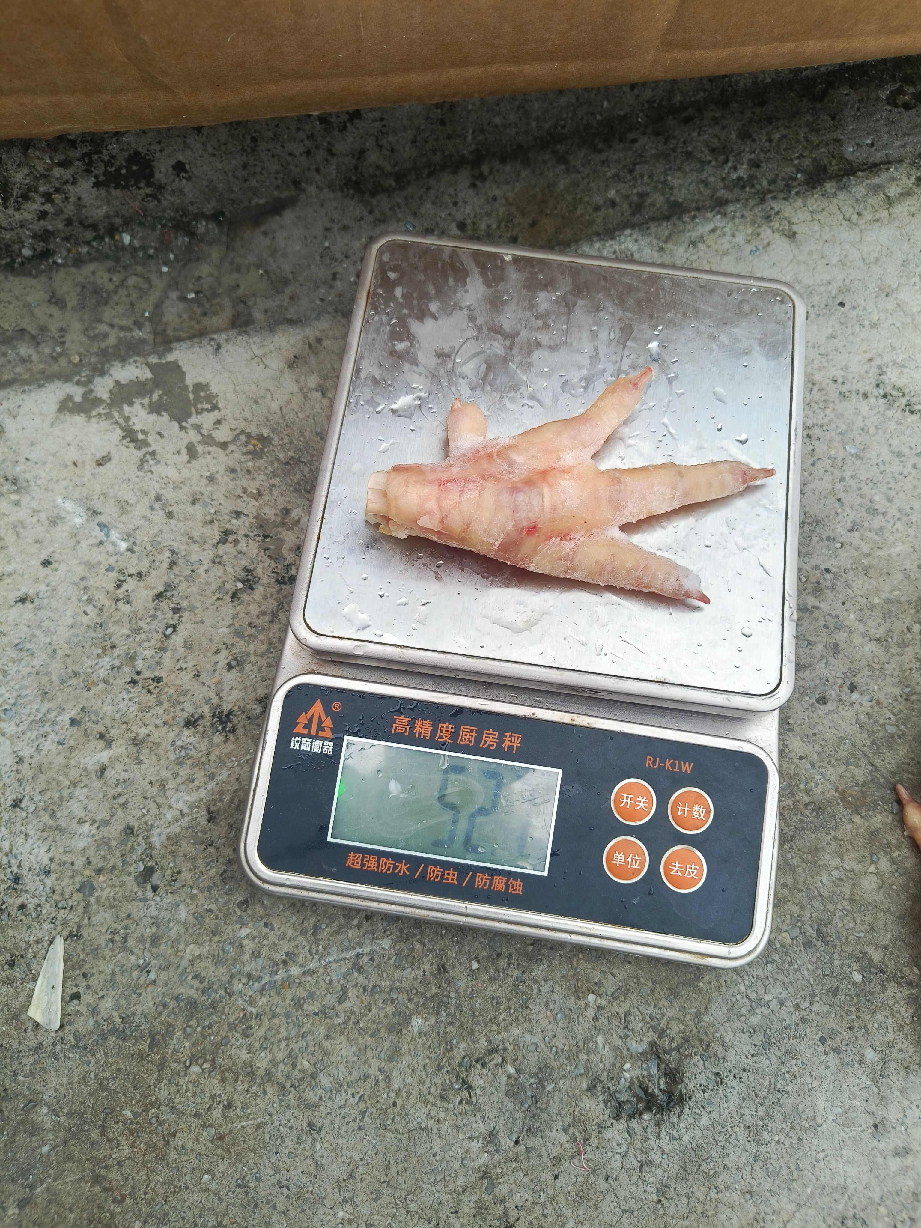 泰森凤爪50+