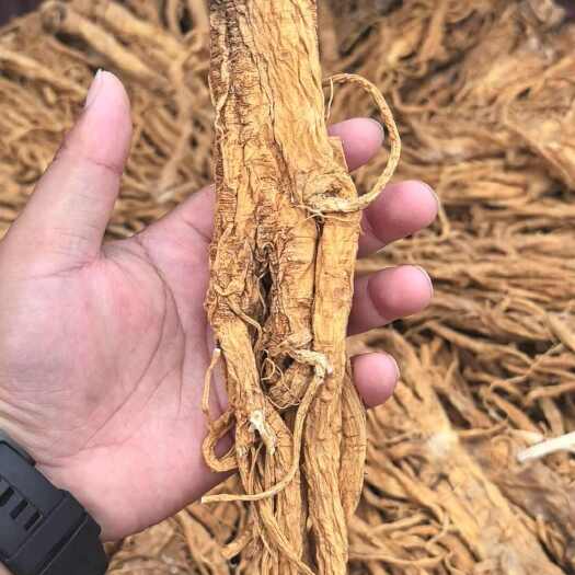 陇西县水洗独活个子