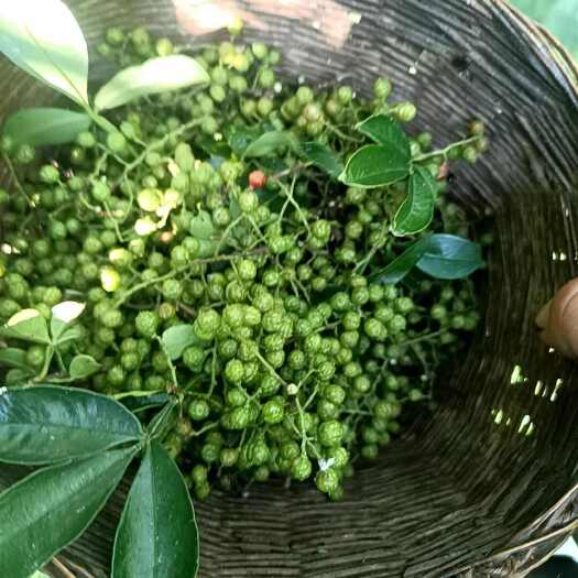 盐源县大量青花椒干货