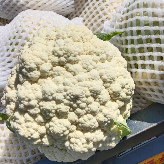 通许县有机花，小米花，可供超市，市场，电商，