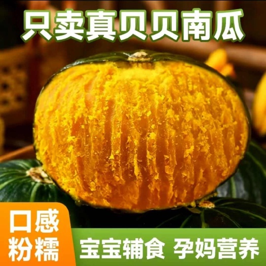 昆明真贝贝南瓜 新鲜蔬菜板栗味小南瓜 供应链一件代发对接团长社群
