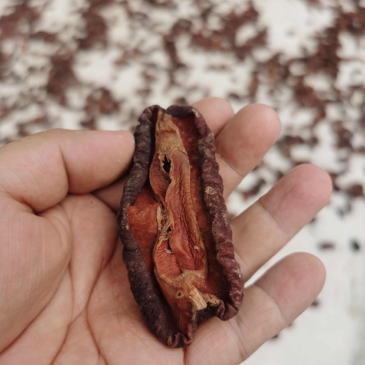 宜都市木瓜干片，无硫皱纹木瓜干片，纯干