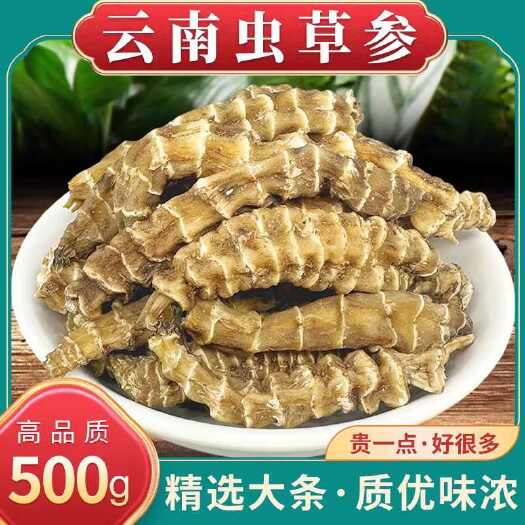 亳州地参中药材 地参干货白虫草竹节参煲汤 批发零售