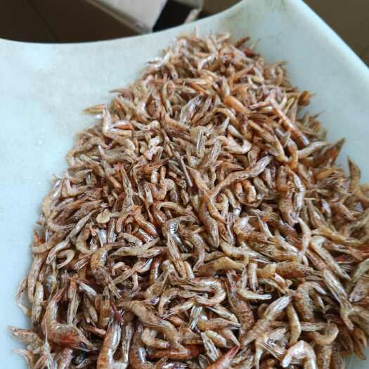 宜昌河虾干晒虾2公分左右
