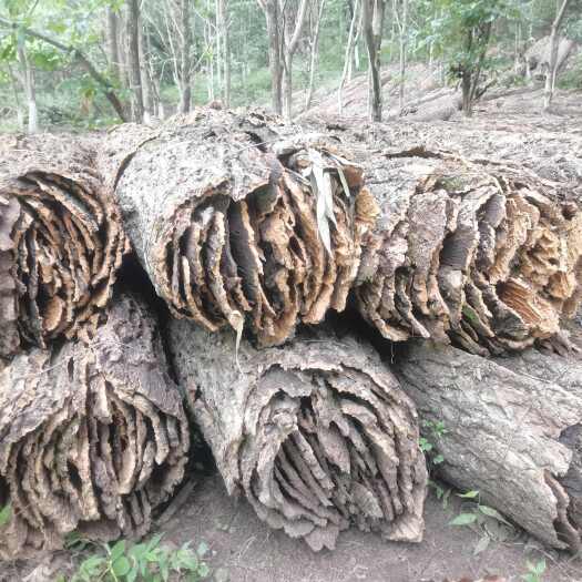 两当县栓皮