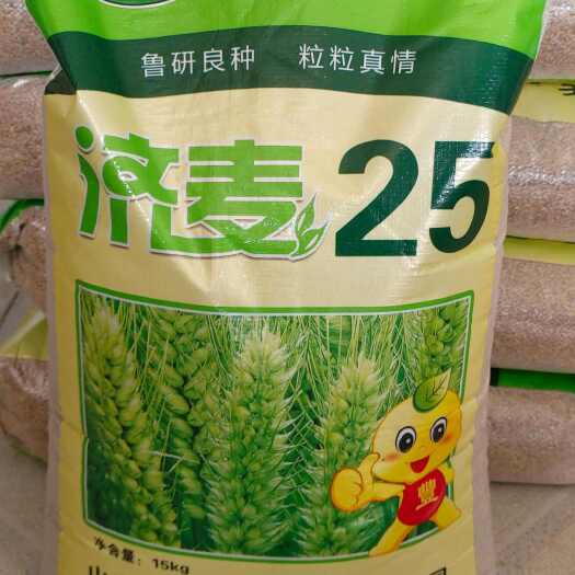 济麦25，矮秆，大穗，四楞穗。育种者:山东省农业科学院选育。