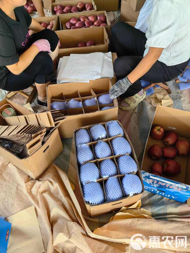 天水花牛苹果 专业电商代发基地直供 量大优惠