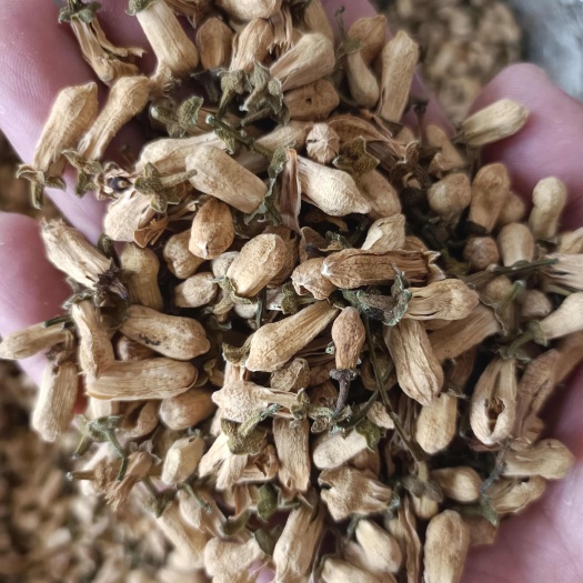 玳玳花 花茶泡水喝 回青橙 酸橙花 代代花枳壳花非柚子花