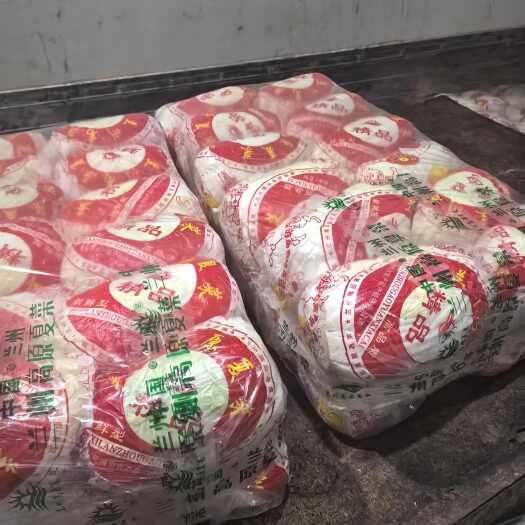 兰州精品娃娃菜 价格低 需要的联