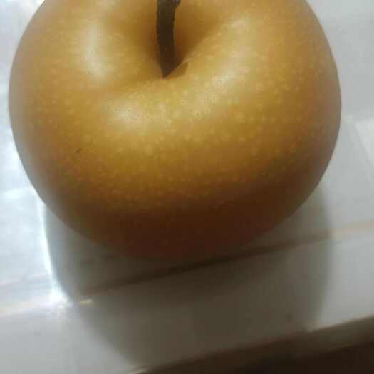 莱西市秋月梨中心产地