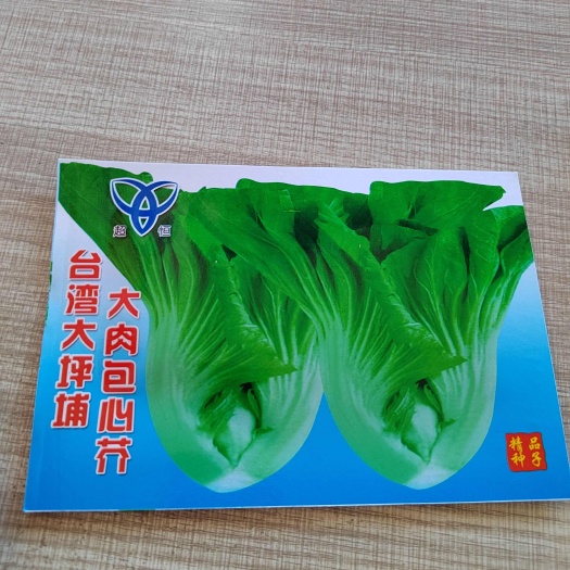 大肉包心芥，腌酸，阳台露天都可种植