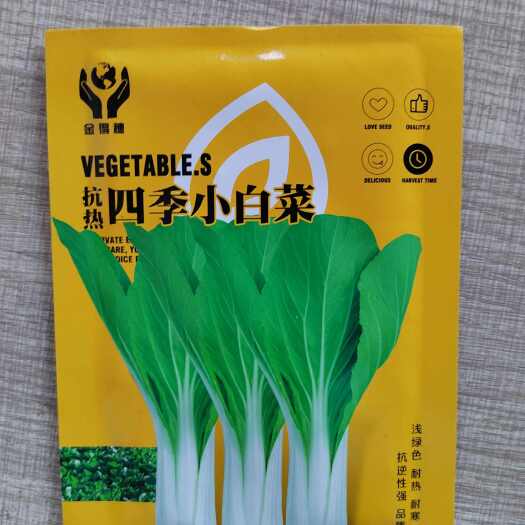 南宁快大小白菜种子 四季小白菜青菜种鸡毛菜早熟蔬菜种子