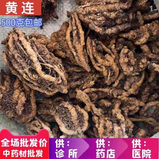 安国市黄连 个，黄连片，规格齐全，产地批发零售！！量大优惠！可打粉