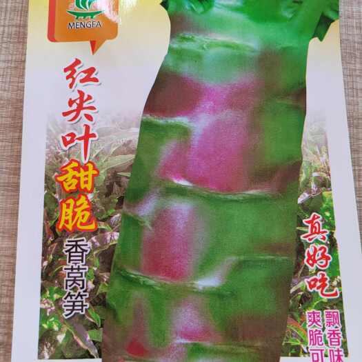南宁莴笋种子 红圆叶莴笋四季蔬菜红皮莴笋红油麦菜种子