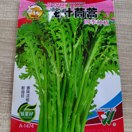 南宁阳台皇帝菜蔬菜，小叶茼蒿，花叶茼蒿，味甘