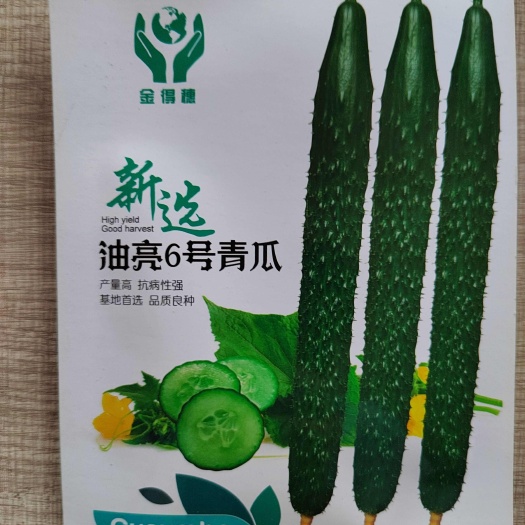 南宁刺青黄瓜种子基地用大田用种阳台种蔬菜种子