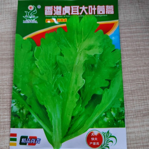 南宁虎耳大叶茼蒿，阳台，四季菜，叶子大片，肉厚