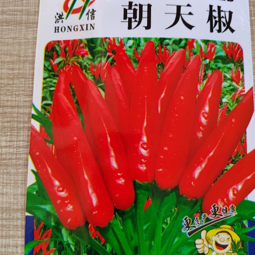 南宁簇生朝天椒种子朝天椒种子辣椒种子簇生辣椒种子