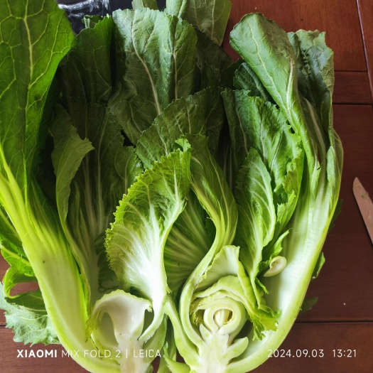 昆明全国供应包心芥菜