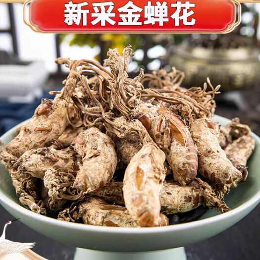 亳州金蝉花 新货金蝉花 规格齐全 闪电发货 量大从优
