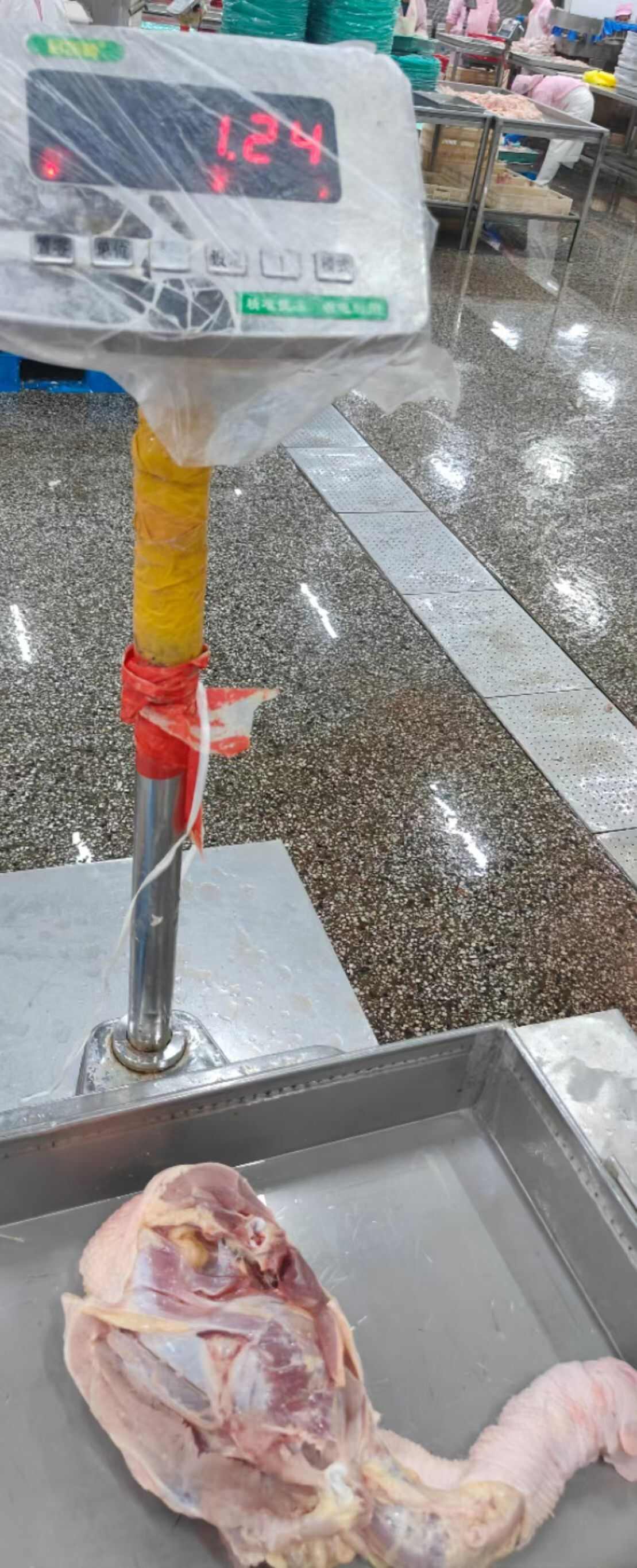 老鸡去尾鸡架
