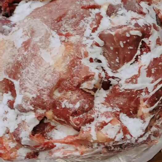 哈尔滨牛肉 牛前部位肉 纯干无水