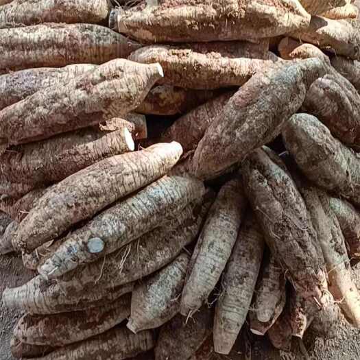 桂林大量粉葛次品 厂货预售